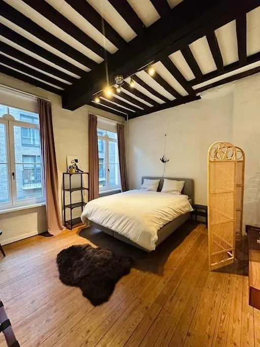 Charmante Woning In City Center Antwerp