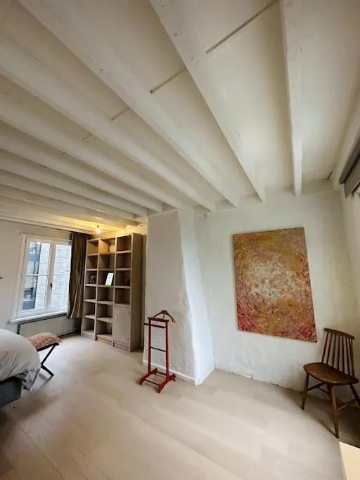 Charmante Woning In City Center Antwerp Apartment