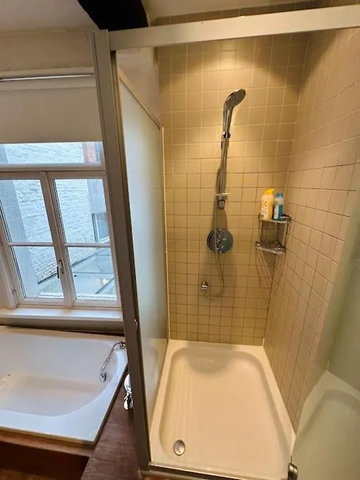 Apartment Charmante Woning In City Center Antwerp Belgium