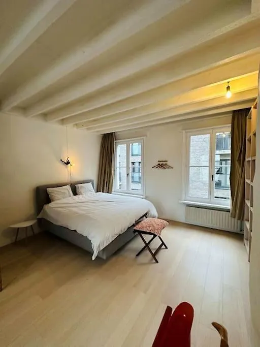 Charmante Woning In City Center Antwerp 0*,