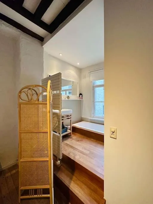 Charmante Woning In City Center Antwerp