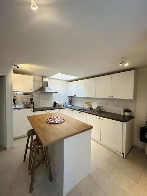 Charmante Woning In City Center Antwerp Belgium